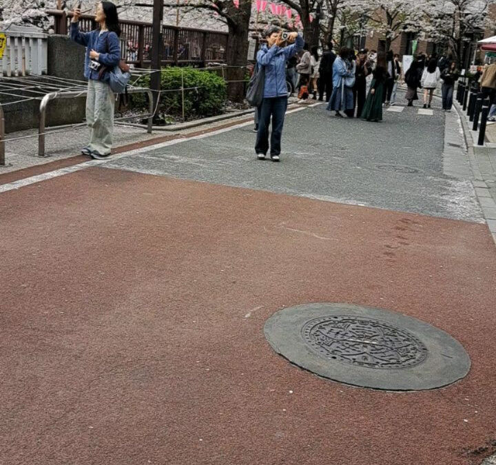 桜祭りにて
