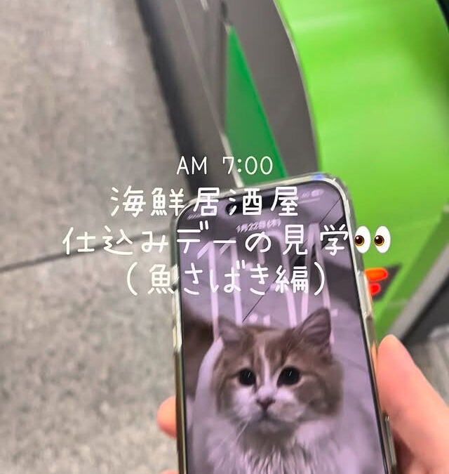 職人さんの凄さがわかる1日でした