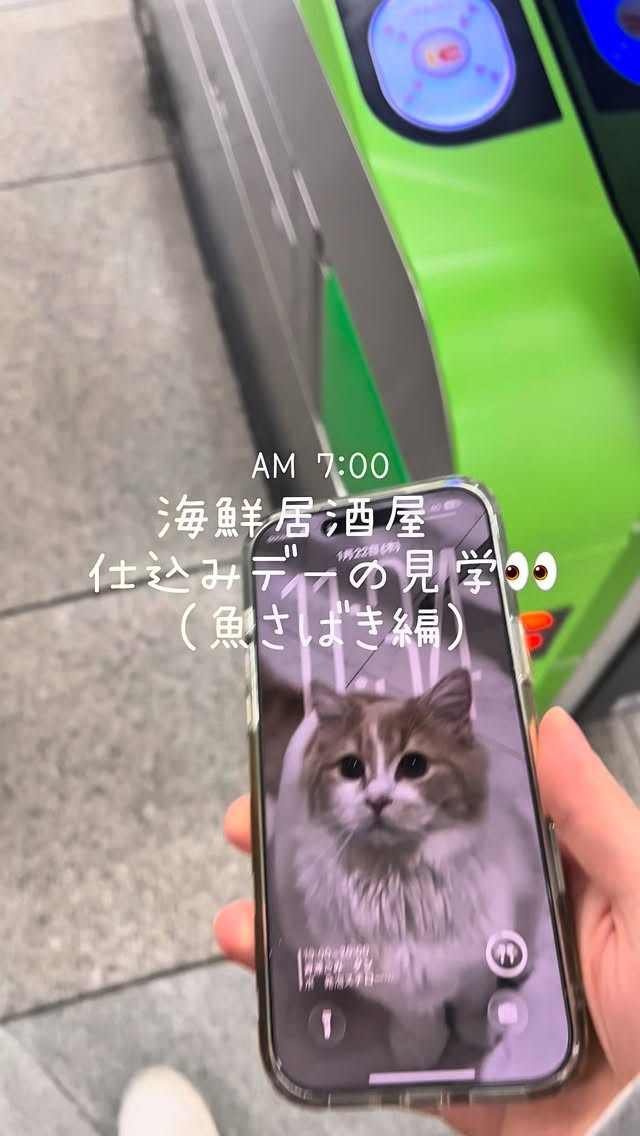 17741_20260123082014_269772_69732f3e41dd1_job6981d360